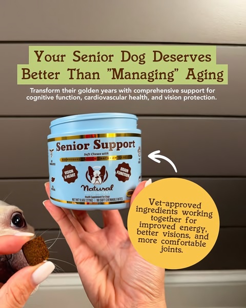 A close-up, first-person perspective showing a hand holding a supplement tub alongside a treat, using a clear benefit-driven headline.